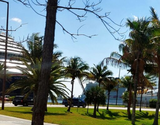 Caribbean CRUISE 04/2024