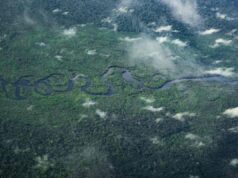 Ősi civilizáció nyomaira bukkantak az Amazonas mélyén – a felfedezés átírhatja Dél-Amerika történelmét