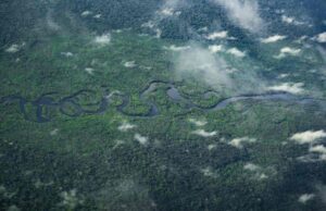 Ősi civilizáció nyomaira bukkantak az Amazonas mélyén – a felfedezés átírhatja Dél-Amerika történelmét