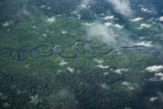 Ősi civilizáció nyomaira bukkantak az Amazonas mélyén – a felfedezés átírhatja Dél-Amerika történelmét