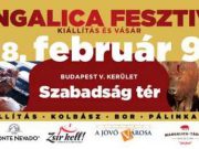 Jövő pénteken kezdődik a mangalica fesztivál Budapesten