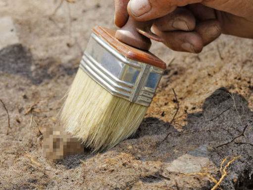 Újabb régészeti feltárás kezdődött a székesfehérvári Nemzeti Emlékhelyen