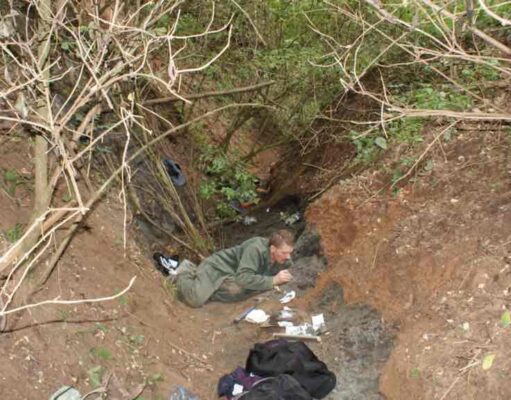 Rekordmennyiségű dinoszaurusz-maradványt találtak Erdélyben