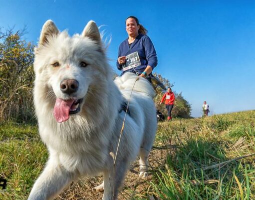 Jótékonysági kutyás terepfutást szervez a Hard Dog Race csapata