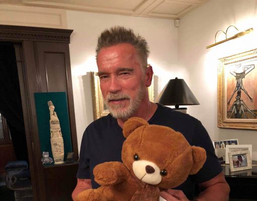 Arnold Schwarzenegger és Antonio Banderas dedikált mackói jótékonysági árverésen