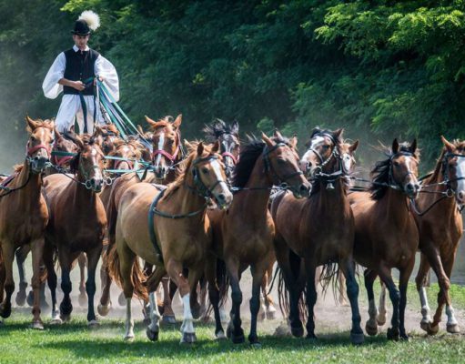 Guinness-rekord lett a Puszta 17-es