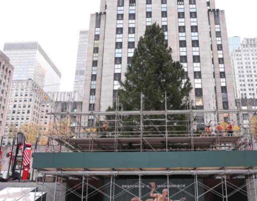 Felállították New York kultikus karácsonyfáját a Rockefeller Center előtt